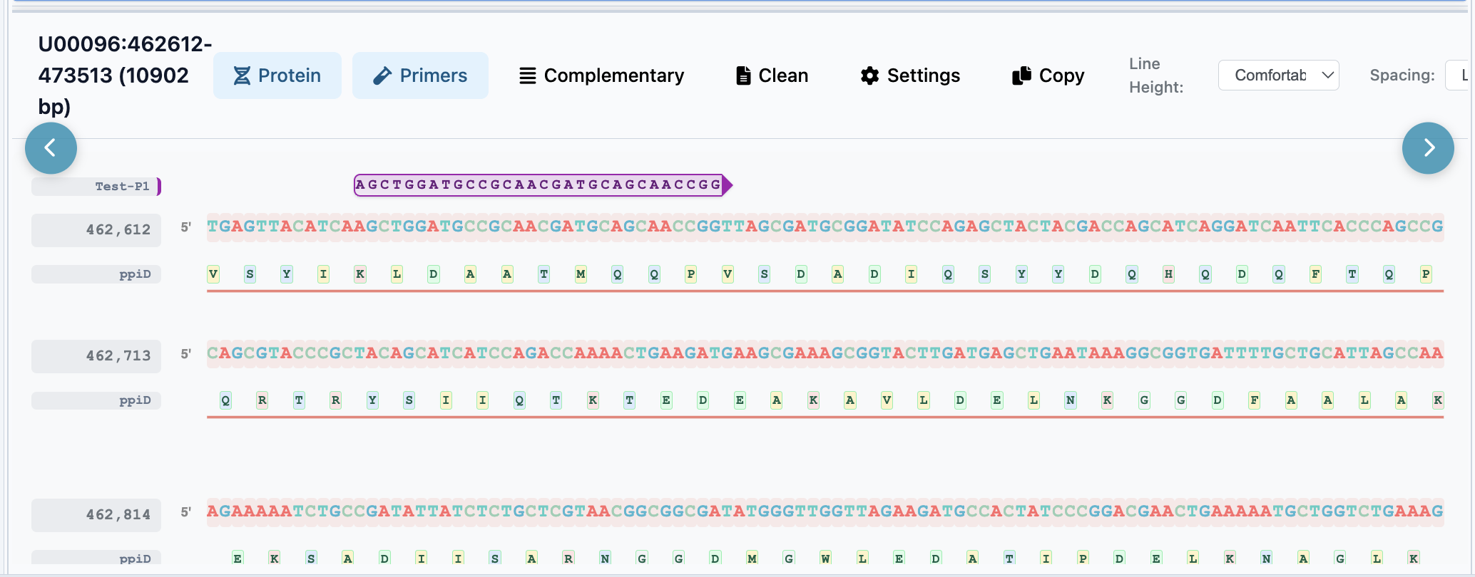 Primer design on the sequence track